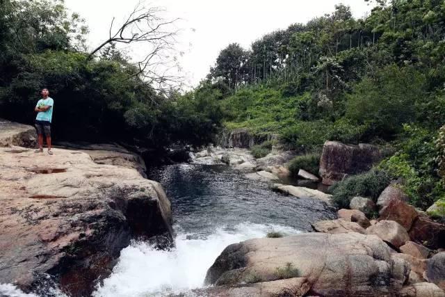 救援海盗章鱼