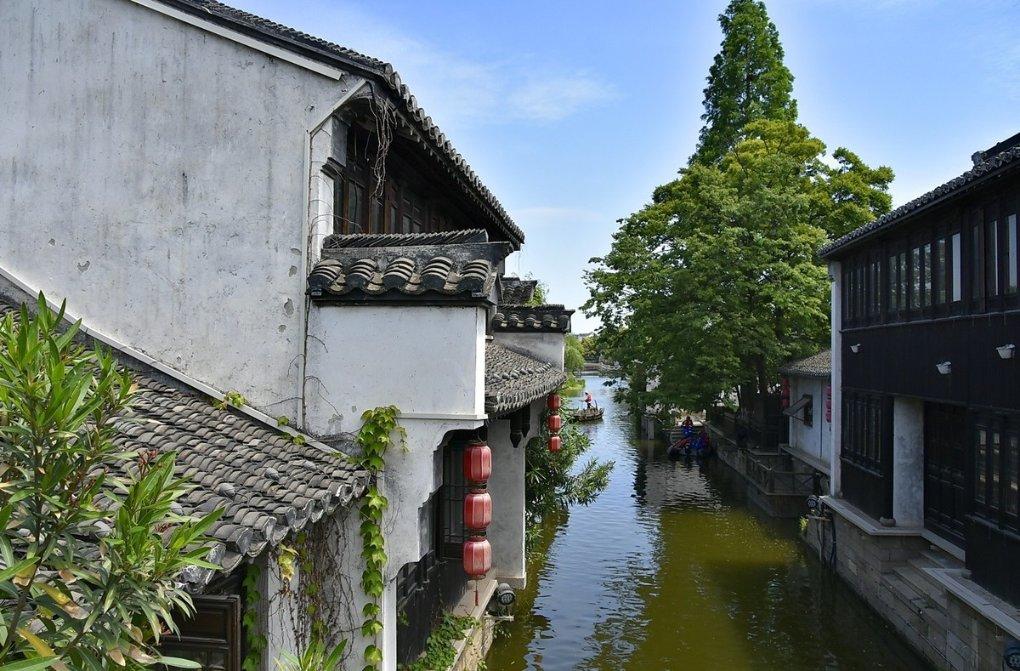 贪吃鼠吃豆豆